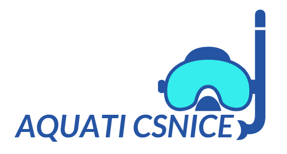 Sports – water sports equipment