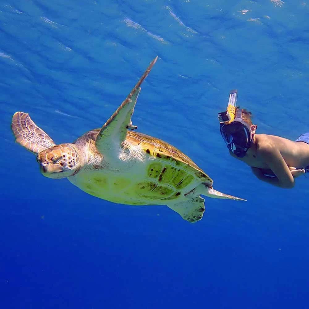 Aria QR+ Facial Mask 4 Aria QR+ Facial Mask - Image 4